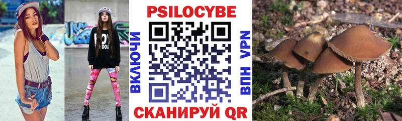 Галлюциногенные грибы MAGIC MUSHROOMS  купить наркотик  Павлово 